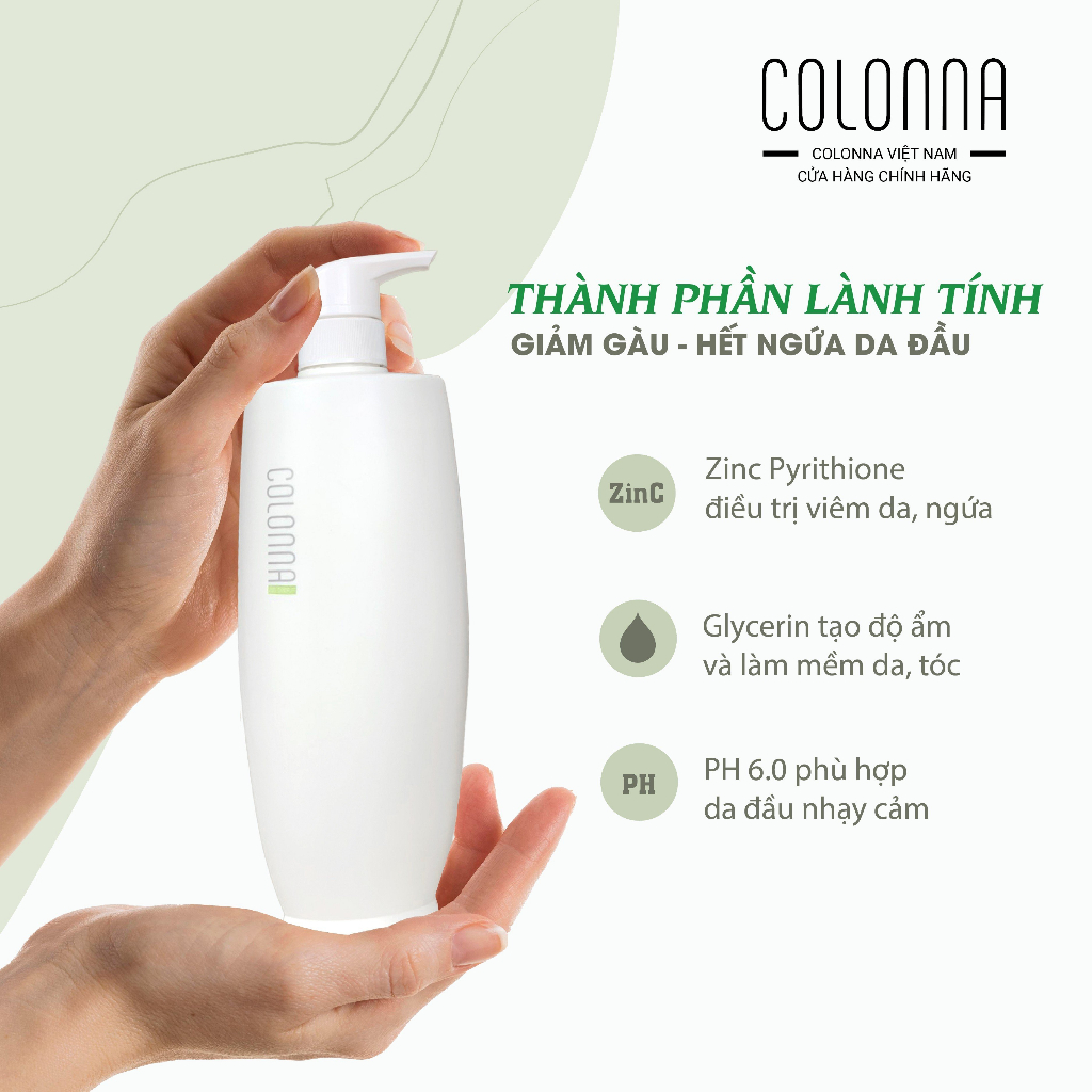 Dầu Gội chăm sóc chuyên nghiệp COLONNA sạch gàu, giảm nấm ngứa da đầu