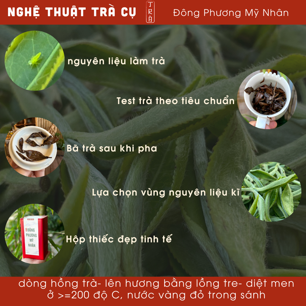 [Hồng trà hộp lễ 100gr]Trà Đông Phương Mỹ Nhân 100gr hộp thiếc
