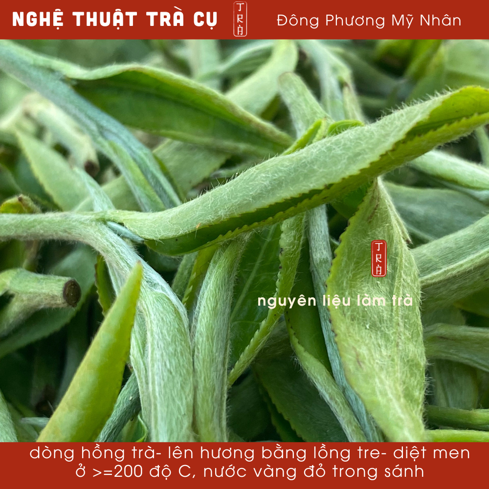 [Thẩm trà túi nhỏ]Trà Đông Phương Mỹ Nhân 10gr túi nhỏ dễ mang đi