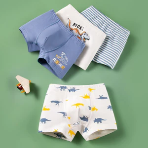 Set 4 quần chíp bé trai cotton cao cấp khủng long bạo chúa, quần lót bé trai size đại Maruka 12-41kg