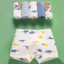 Set 4 quần chíp bé trai cotton cao cấp khủng long bạo chúa, quần lót bé trai size đại Maruka 12-41kg