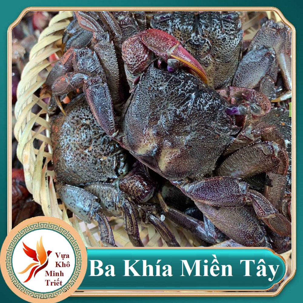 Mắm Ba Khía Nguyên Con chính gốc Rạch Gốc- Vựa Khô Minh Triết | Shopee ...