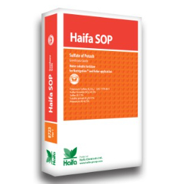 Phân bón Haifa SOP Kali Sulfat (K2SO4) 0-0-50+ 18S (1KG)