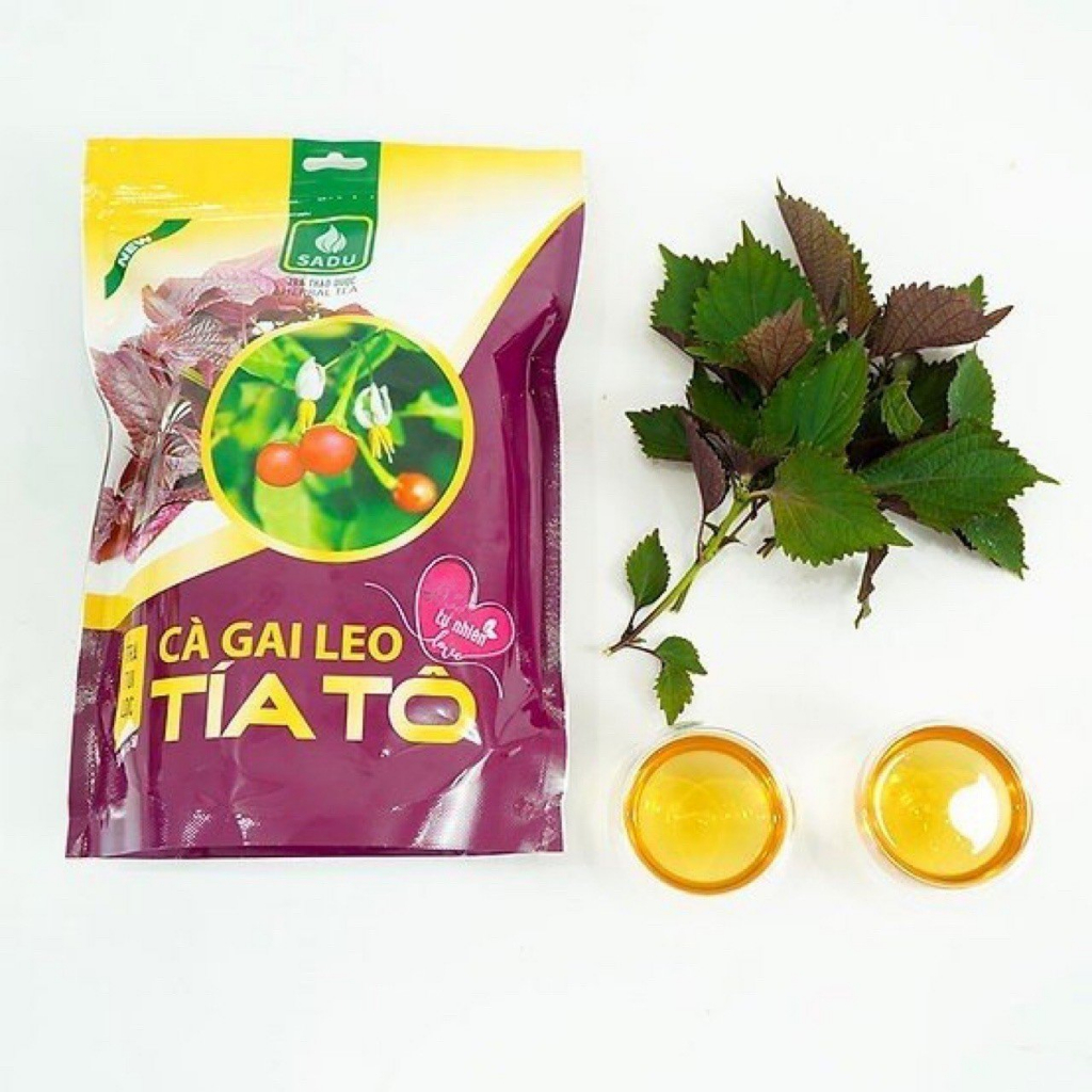 Thiết Kế Của Lọ Túi