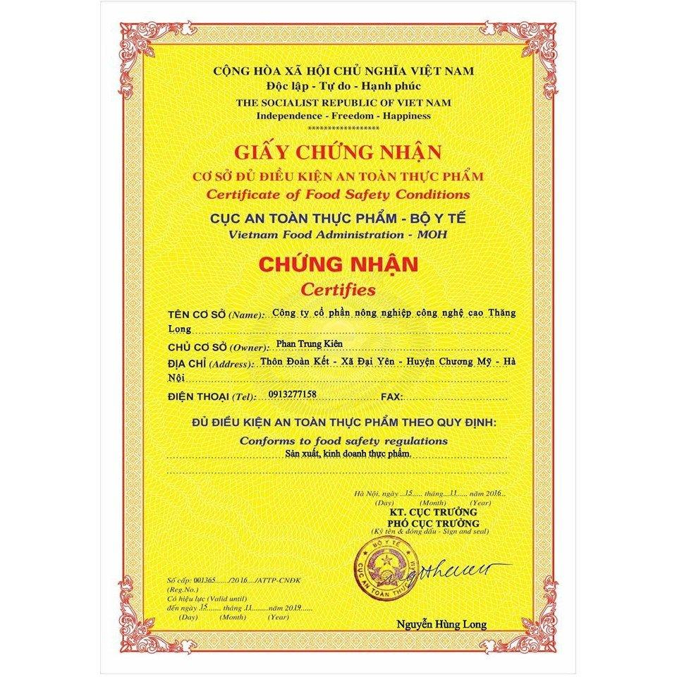 Túi Tiêu Chuẩn - Trà Túi Lọcà Gai Leo Tía Tô Sadu 500G Thư Giãn Tinh Thần Đẹp Da Giải Cảm Tăng Cường Đề Kháng