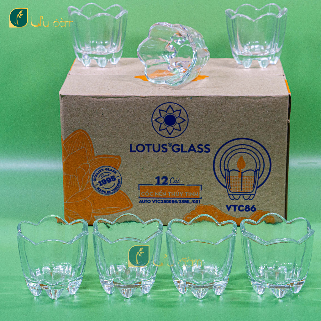 Ly Hoa Mai, ly làm nến, hộp 12 ly - Nến Ưu Đàm | Shopee Việt Nam