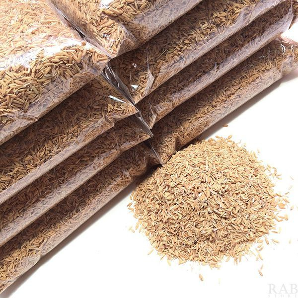 Vỏ Trấu Sống Trộn Đất Trồng Hoa Kiểng Và Rau Sạch Bịch 400gr