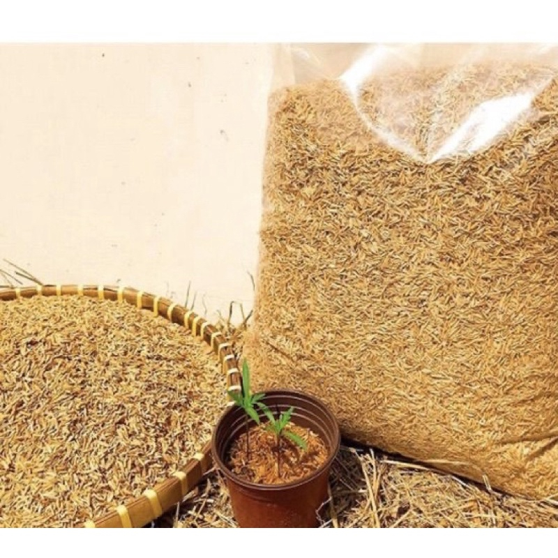 Vỏ Trấu Sống Trộn Đất Trồng Hoa Kiểng Và Rau Sạch Bịch 400gr