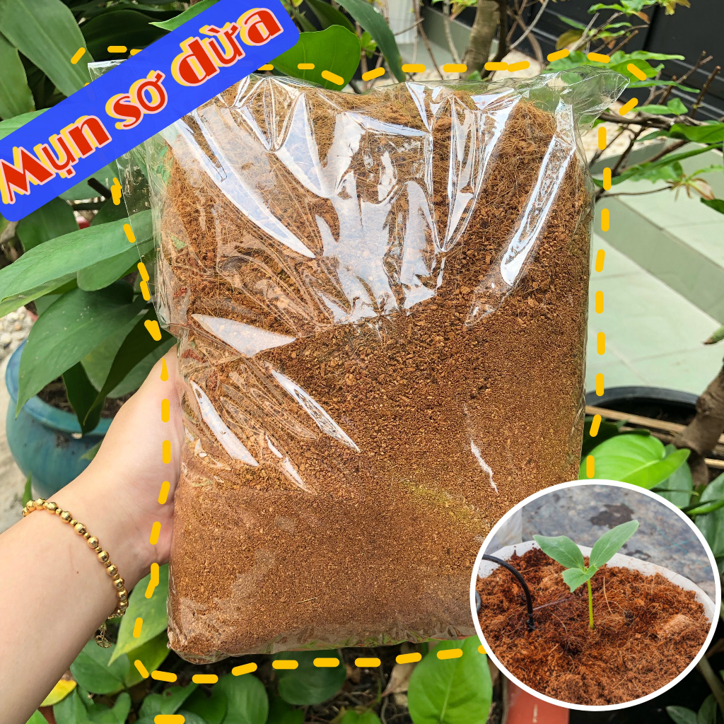 Combo 2 bịch mụn dừa 500gr