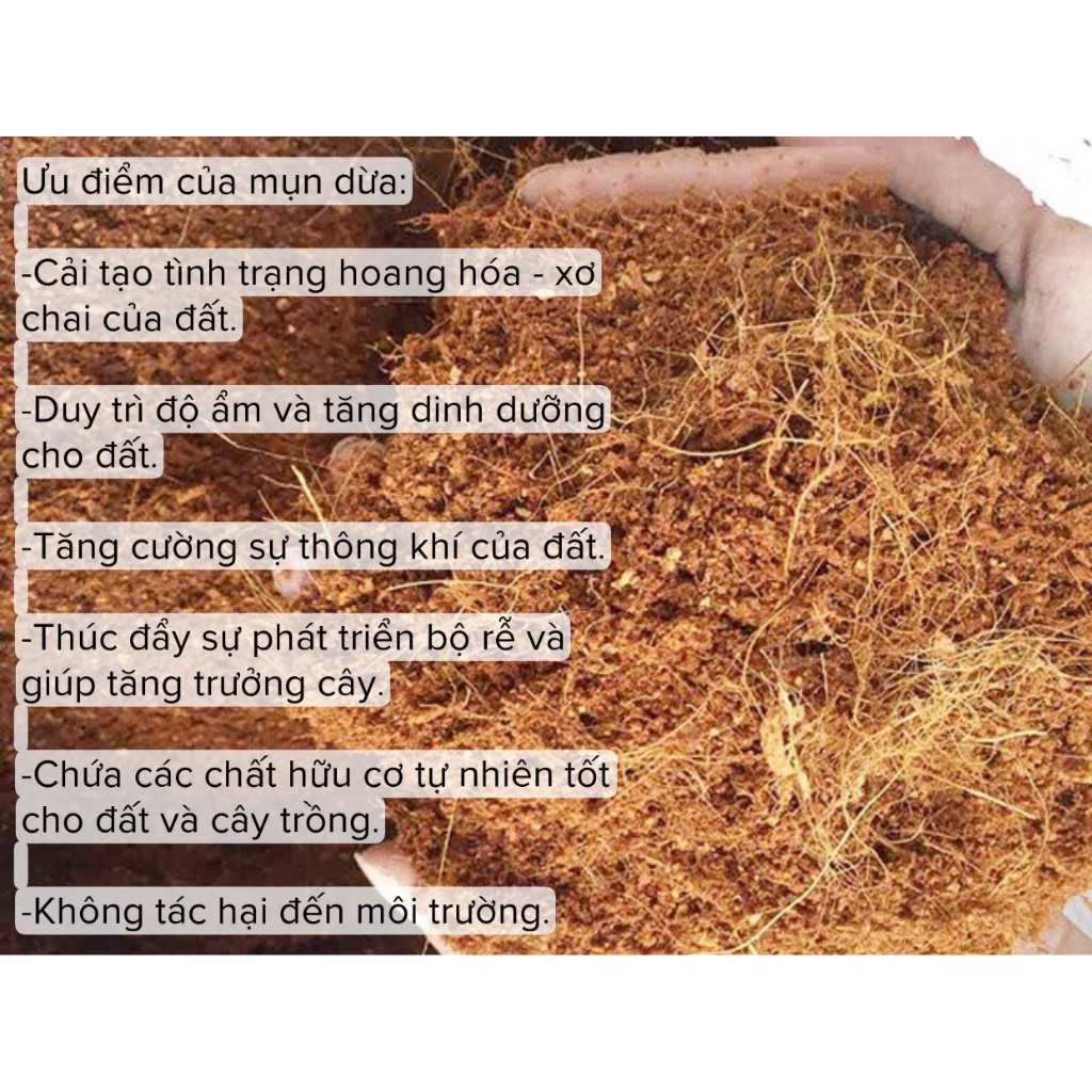 Combo 2 bịch mụn dừa 500gr