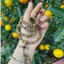 Vòng tay trầm hương chuỗi tràng hạt 108 678 ly mix charm hoa sen - Trầm hương tốc tự nhiên - Vòng phong thủy