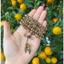 Vòng tay trầm hương chuỗi tràng hạt 108 678 ly mix charm hoa sen - Trầm hương tốc tự nhiên - Vòng phong thủy