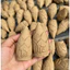 NỤ TRẦM HƯƠNG- làm bằng nguyên liêu tự nhiên và keo bời lời- 01 hộp 10 viên to cháy hơn 1 tiếng đồng hồ.