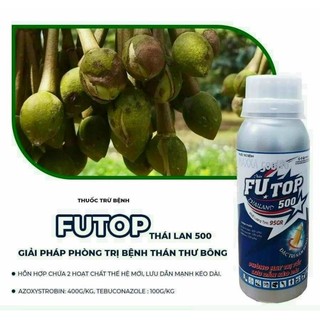 Combo FUTOP500 + Metalaxyl Ngừa và xử lý  bệnh phổ rộng, ngừa được nhiều bệnh