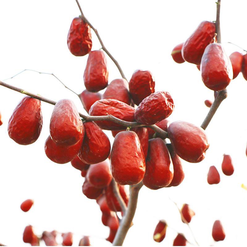 Táo đỏ Tân Cương sấy khô tự nhiên