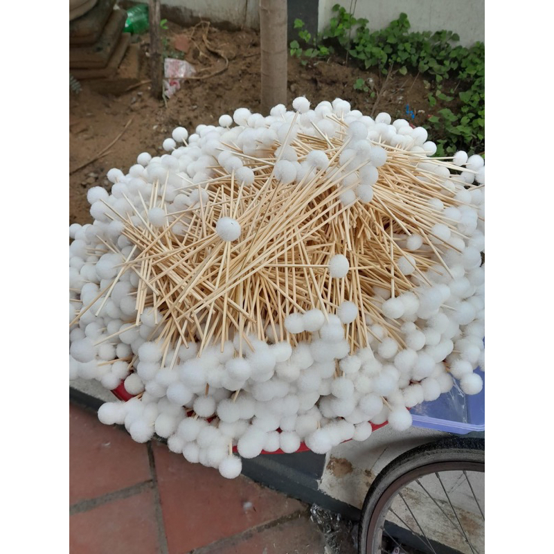 Bông se ráy tai lông vịt [20 cây]