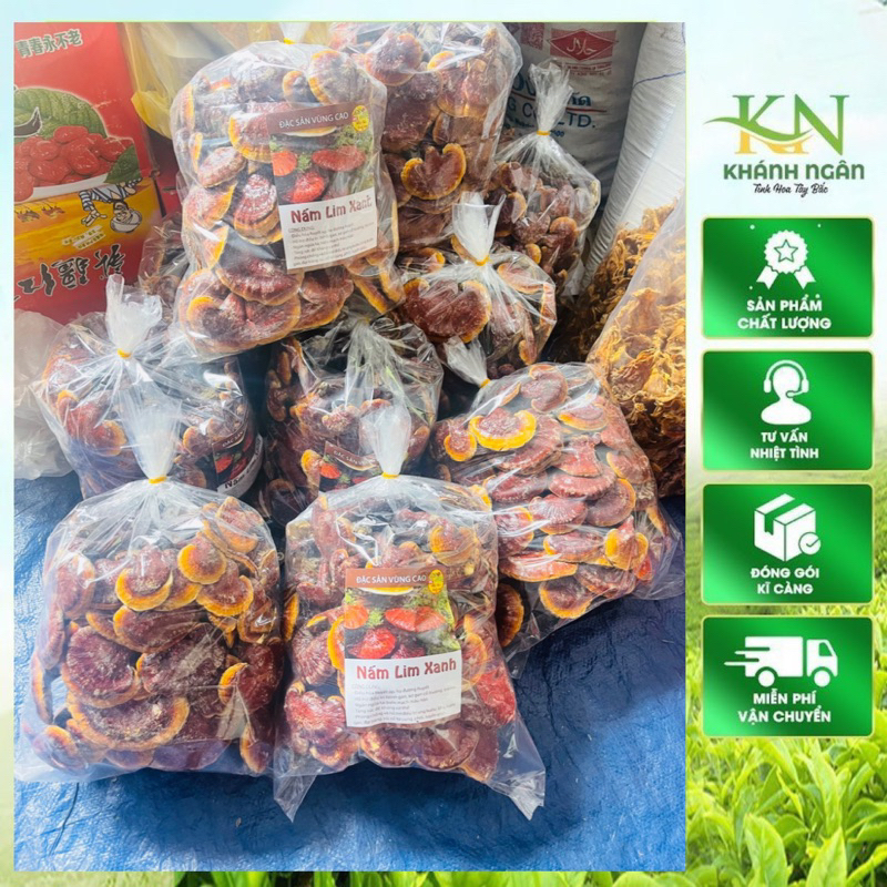 Nấm Lim Xanh Rừng Tây Bắc | Tai Nấm Thơm Đậm Tự Nhiên Hàng Đẹp Tuyển Chọn 1kg