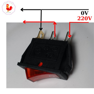 Công tắc bập bênh