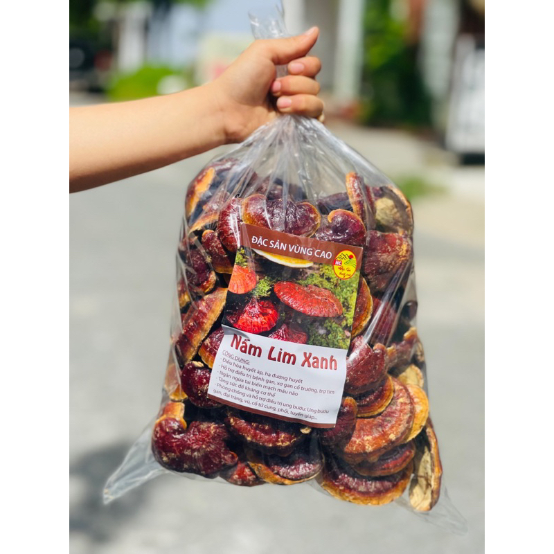 Nấm Lim Xanh Rừng Tây Bắc | Tai Nấm Thơm Đậm Tự Nhiên Hàng Đẹp Tuyển Chọn 1kg