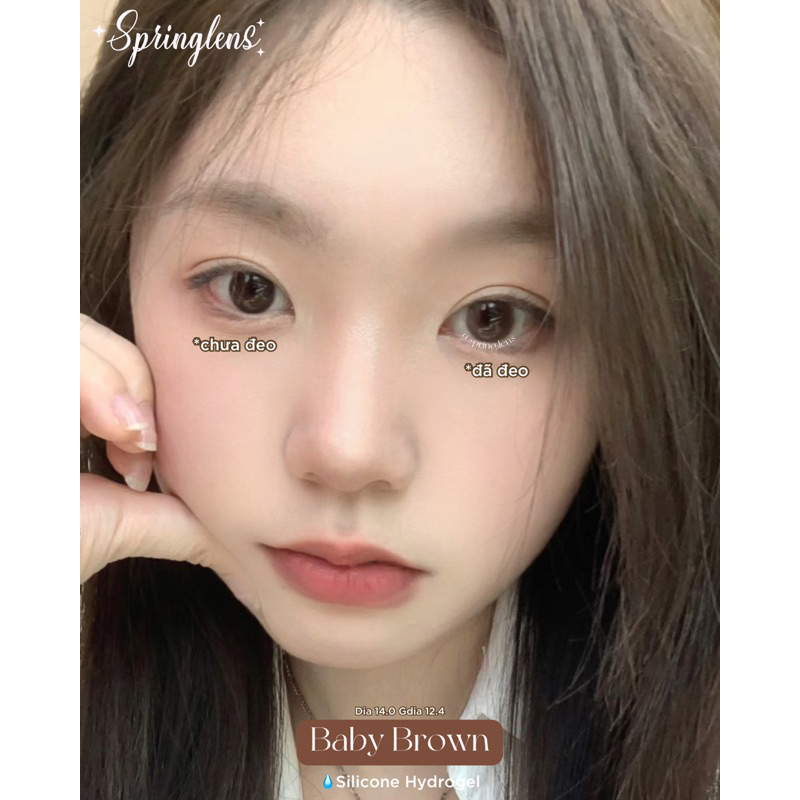 Lens Silicone Hydrogel BABY BROWN nâu sữa 6 tháng không giãn | Kính áp tròng Spring Lens