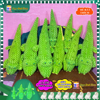 THÚ NHỒI BÔNG CÁ SẤU LÔNG XOĂN ĐẸP NHƯ ẢNH CHO BÉ ÔM NGỦ SIÊU CƯNG - đồ chơi doll toy búp bê MUA CHỌN SIZE GIAO NHANH
