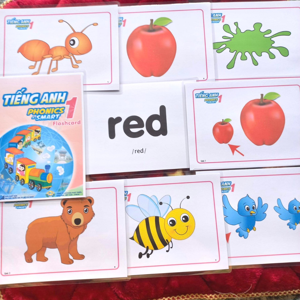 Thẻ Flashcard Smart Phonics 1- Thẻ Tiếng Anh thiết kế 2 mặt ép plastics ...