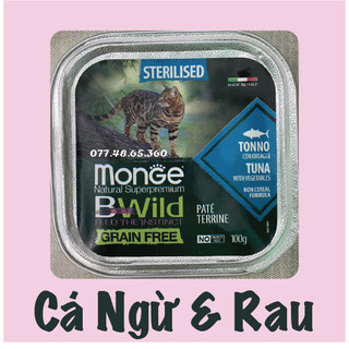 [Thanh Lý Date xa] Pate cho mèo Monge 100g - pate Ý - pate cao cấp giành cho Mèo __