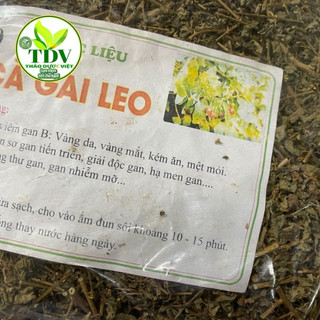 1kg cà gai leo khô Hòa Bình - Hàng Công ty Thảo Dược Việt