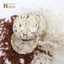 Healthy Day HEALTHY habits - Nguyên vị - Giảm cân - Đẹp da - Ăn dặm - Đạt chuẩn ATVSTP