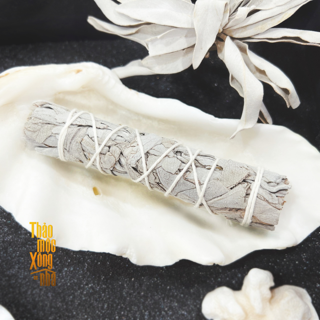 TRAVEL WHITE SAGE - Xô Trắng Mini Du Lịch - THẢO MỘC XÔNG NHÀ | Shopee ...