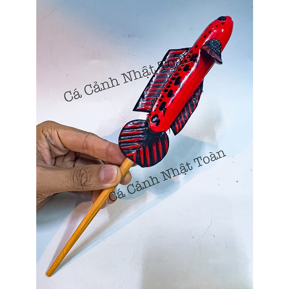 CÂY KÈ CÁ LÓC GIÚP CÁ SUNG HƠN DÀI 24CM MÀU NGẪU NHIÊN