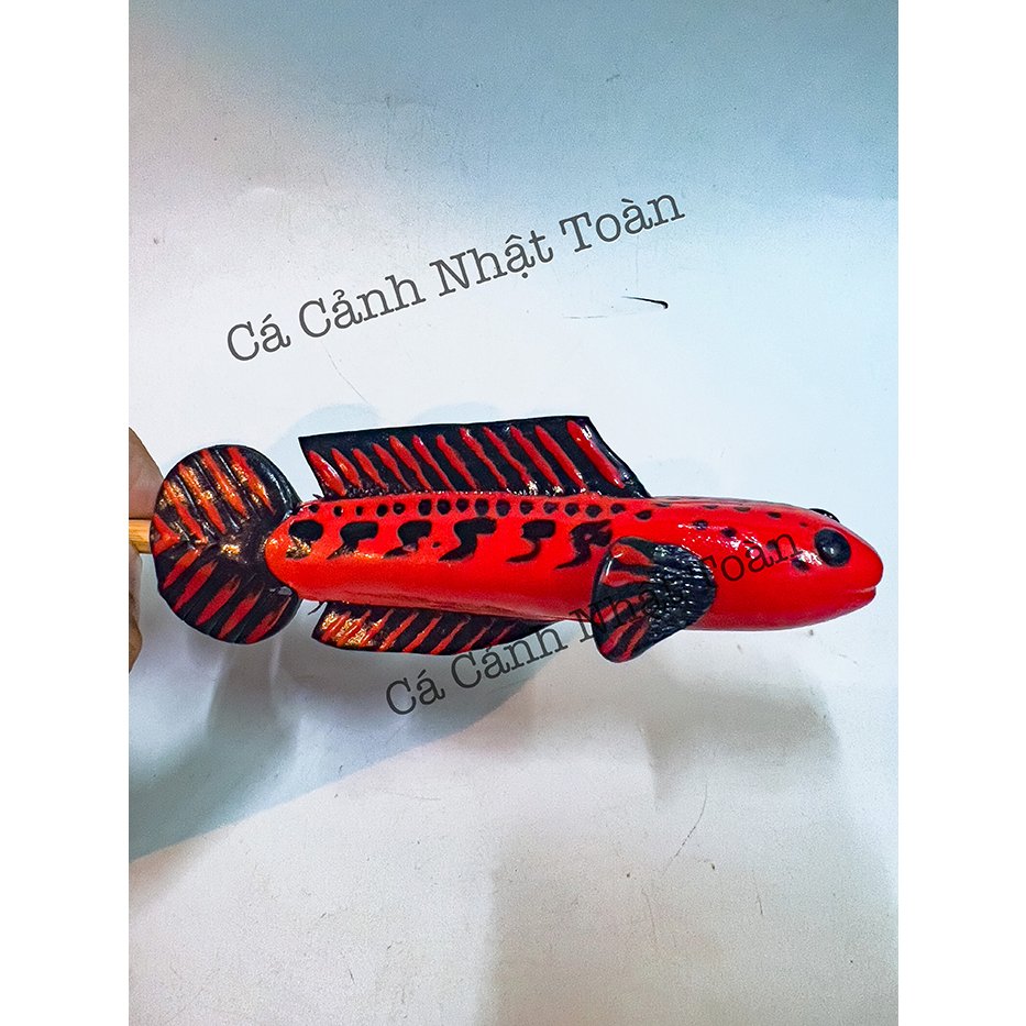 CÂY KÈ CÁ LÓC GIÚP CÁ SUNG HƠN DÀI 24CM MÀU NGẪU NHIÊN