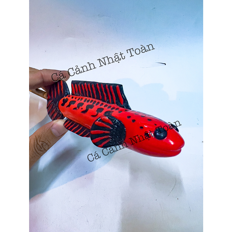 CÂY KÈ CÁ LÓC GIÚP CÁ SUNG HƠN DÀI 24CM MÀU NGẪU NHIÊN