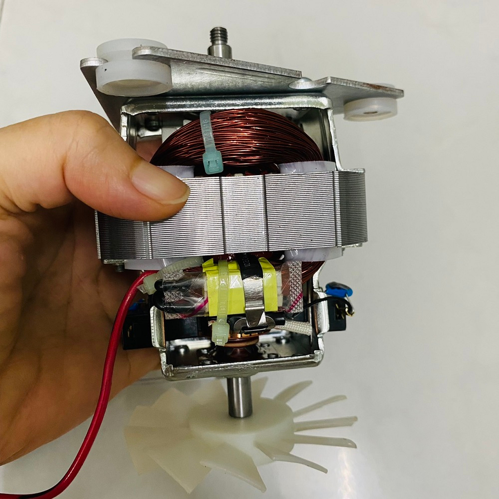 1. Giới thiệu về motor máy xay sinh tố Philips