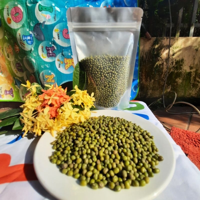 Đậu xanh (đỗ xanh ) quê loại ngon, túi 500g | Shopee Việt Nam