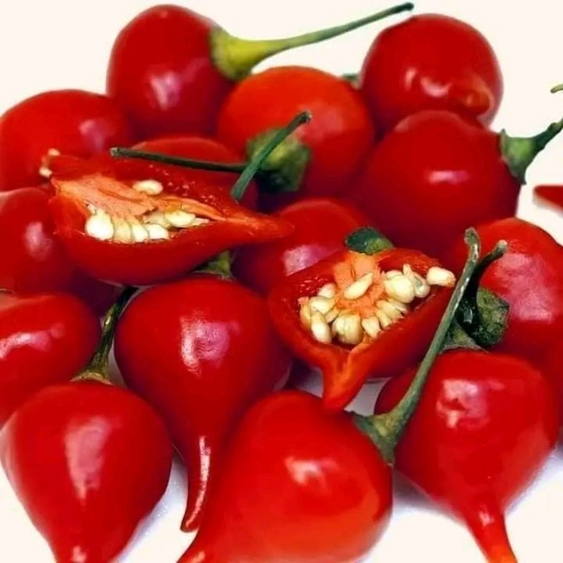 Hạt giống ớt trái tim,❤ hàng mỹ cực quý vừa làm kiểng và ăn