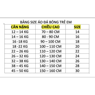 Bộ Quần Aó Bóng Đá Trẻ Em Đội Tuyển Quốc Gia – ĐỨC ( Vải Mè )