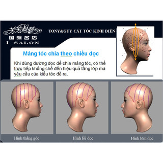 Giáo Trình Cắt Tóc Kinh Điển Nâng Cao Toni&guy