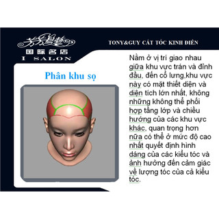 Giáo Trình Cắt Tóc Kinh Điển Nâng Cao Toni&guy