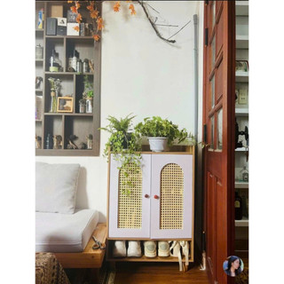 Tủ giày cánh mây có 2 cánh tiện ích hiện đại kích thước 90x60x30 DQ HOME