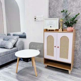 Tủ giày cánh mây có 2 cánh tiện ích hiện đại kích thước 90x60x30 DQ HOME