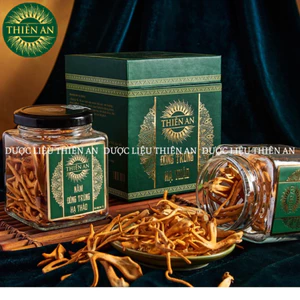Đông Trùng Hạ Thảo Khô Thiên An 10gr – Hộp Thủy Tinh Cao Cấp, Nguyên Chất, Bồi Bổ Sức Khỏe