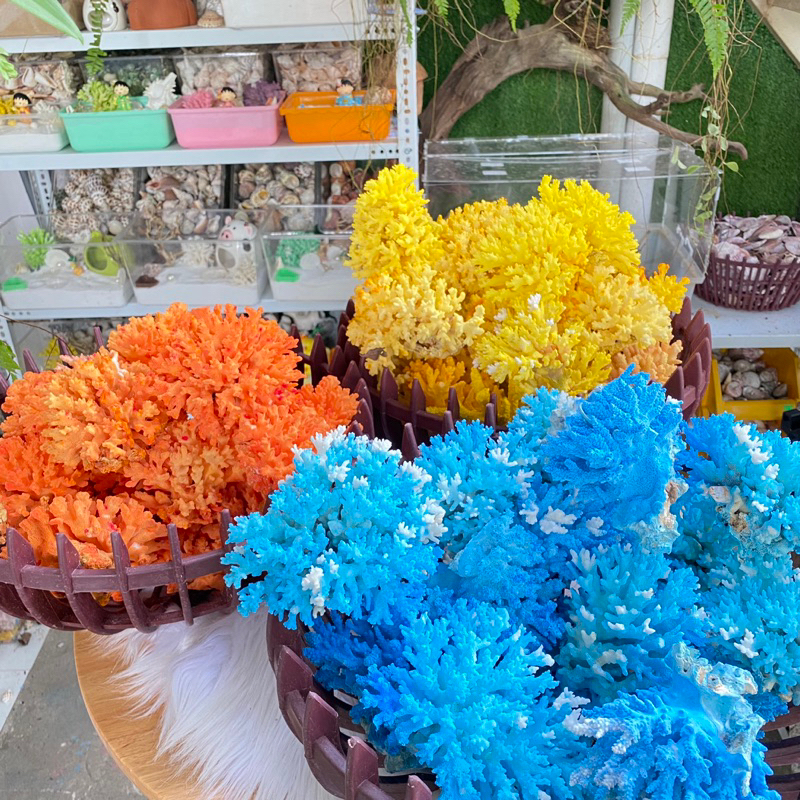 San hô trang trí bể ốc rụt rè, dã tràng, cua ẩn sỉ, decor nhà cửa, ốc ...