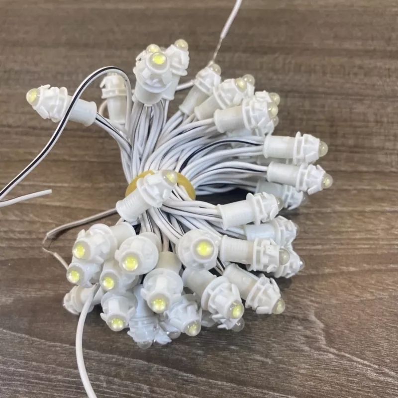 LED đúc Chống Nước F5 điện 12V (Dây 3 mét, 50 bóng) | Shopee Việt Nam