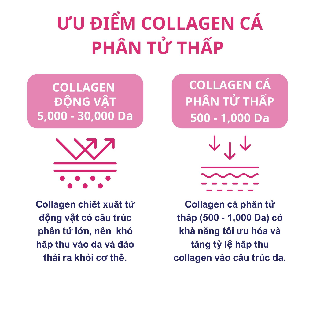 Ảnh Combo 10 gói Bột Uống Ban Đêm BB LAB Low Molecular Collagen Bổ Sung Collagen Sáng Da Căng Bóng, Chậm Lão Hóa 4