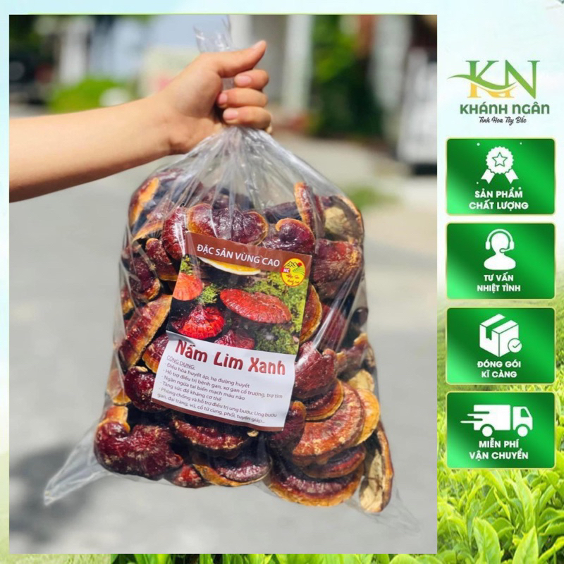 Nấm Lim Xanh Rừng Tây Bắc | Tai Nấm Thơm Đậm Tự Nhiên Hàng Đẹp Tuyển Chọn 1kg