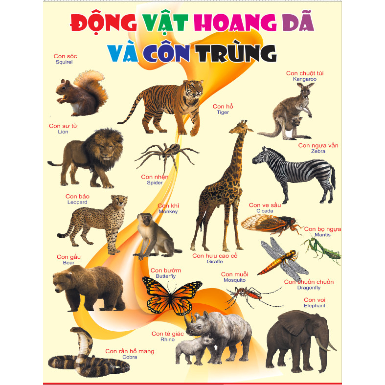 Bảng các số từ 1 đến 100 in bạt khổ A0 (80x120cm) trang trí lớp học hoặc ở nhà