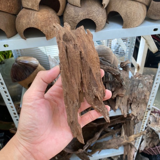 Lũa cây gỗ khô san đá trang trí bể nuôi cá, ốc rụt rè, ốc mượn hồn, dã ...