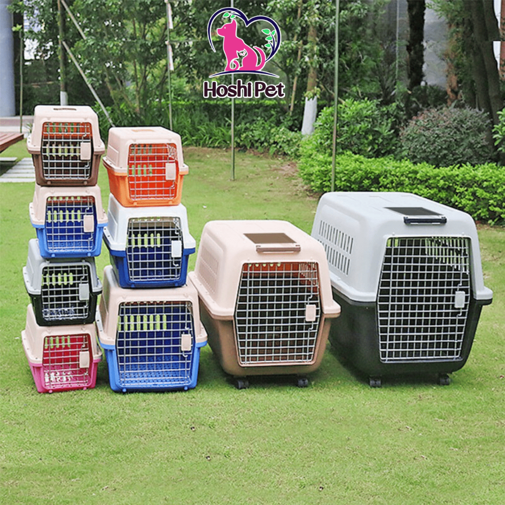 [HOẢ TỐC] Lồng vận chuyển thú cưng đi xa, lồng hàng không vận chuyển ...