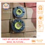 Thớt đề 6 bi, Bát đề 6 bi dành cho xe máy Dream/Wave chống trượt đề THÙY LINH TOOLS